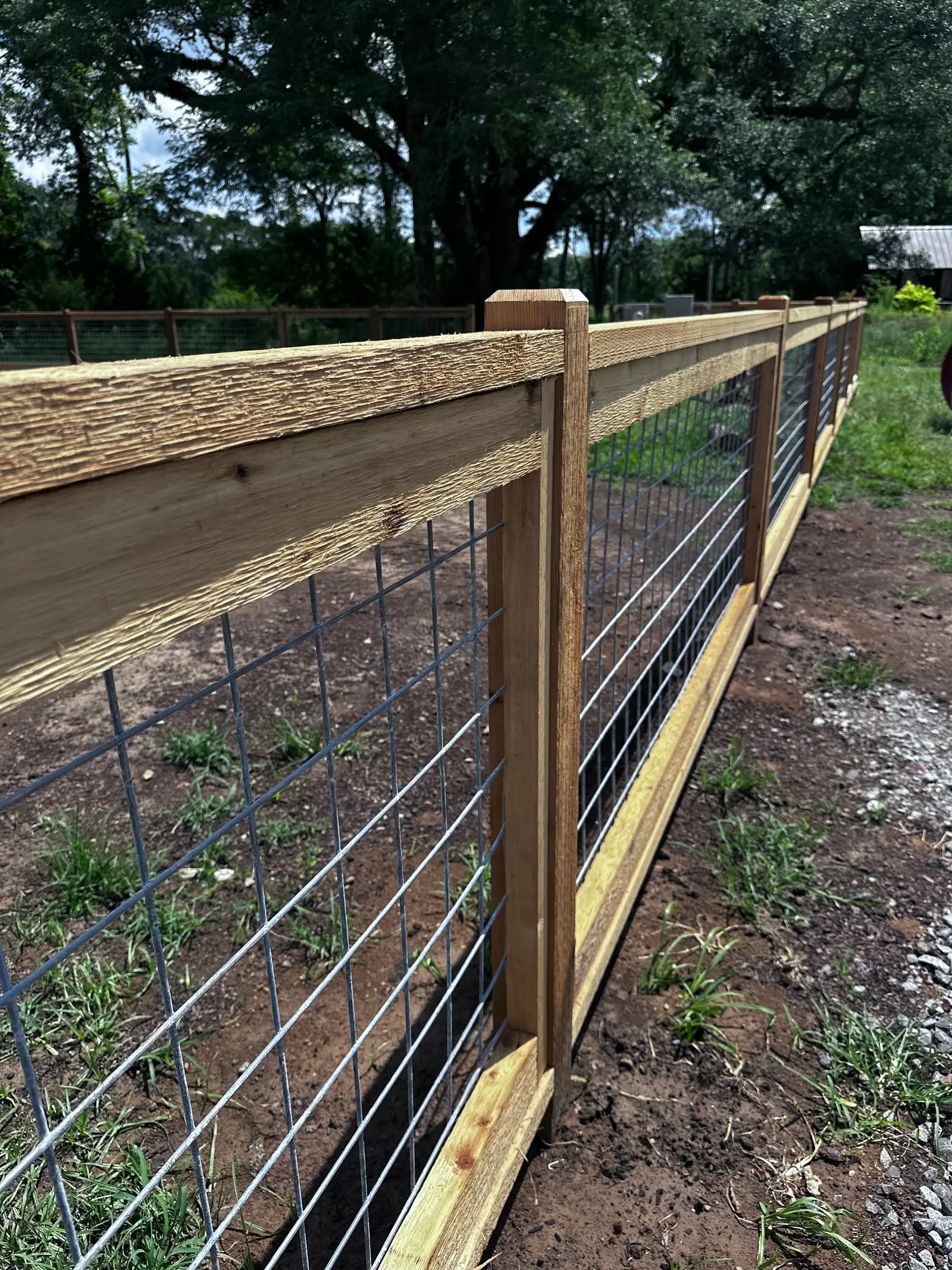 Close view of cedar posts and rails framing galvanized cattle panels at Honey Locust