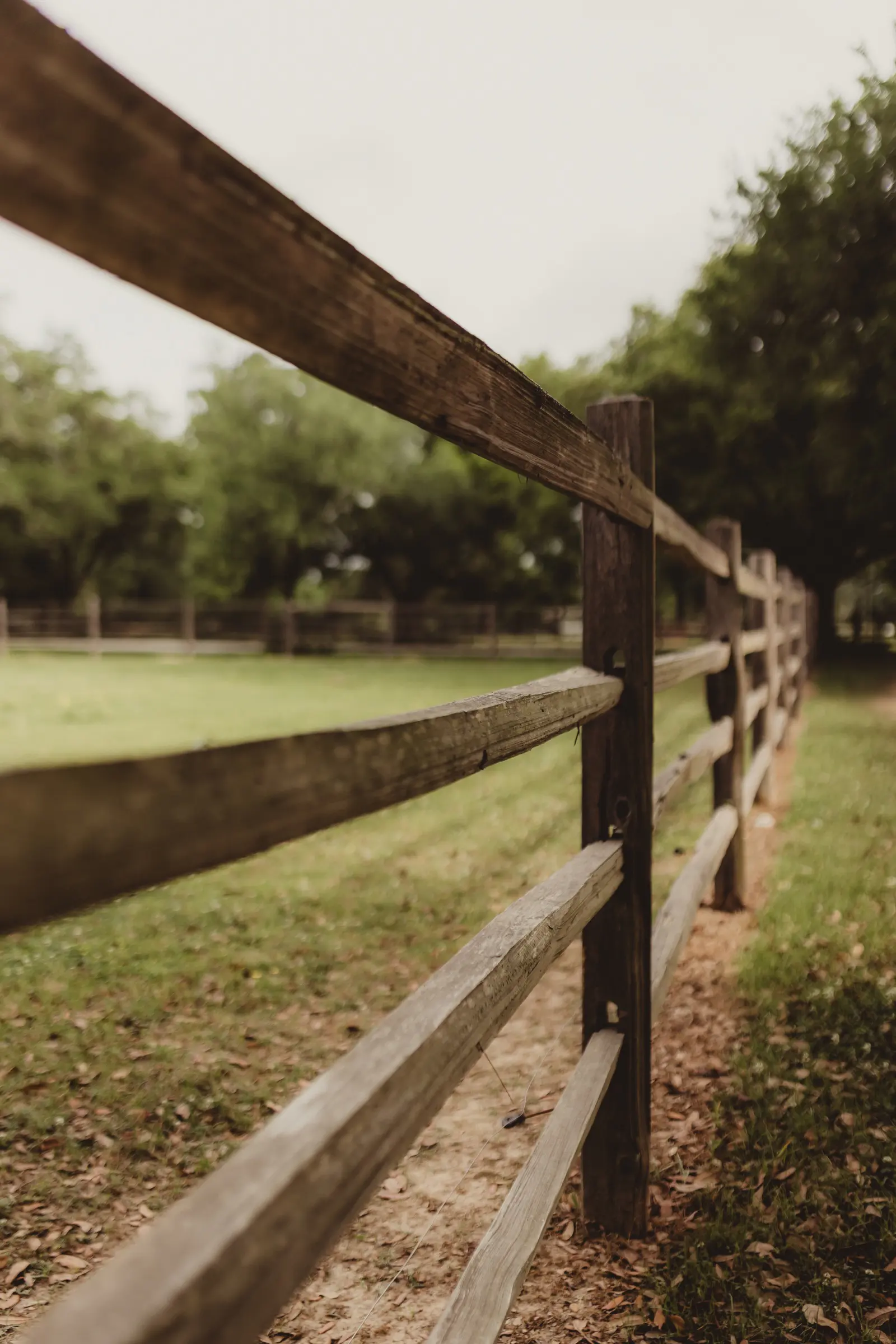 Wood ranch fence following the open grounds at Beau Bassin Farms in Sunset
